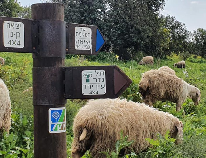 153043815_4079129932120262_613171524196915217_n