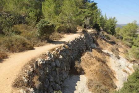 176999125_165294565492280_6543713115571501769_n