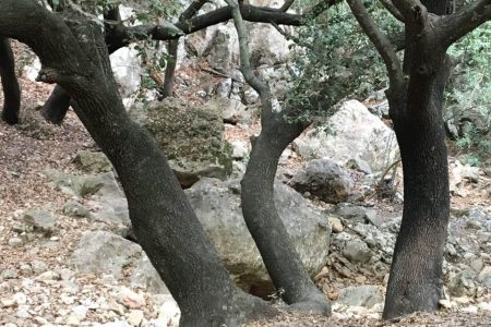 WhatsApp Image 2025-05-04 at 07.25.21