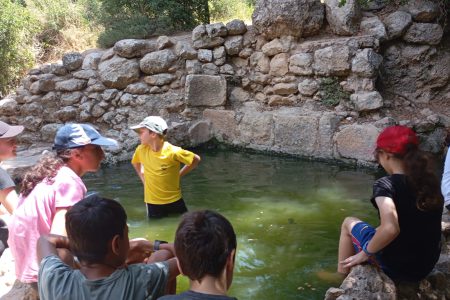 תמונה של WhatsApp‏ 2024-06-23 בשעה 11.43.14_780e5d19