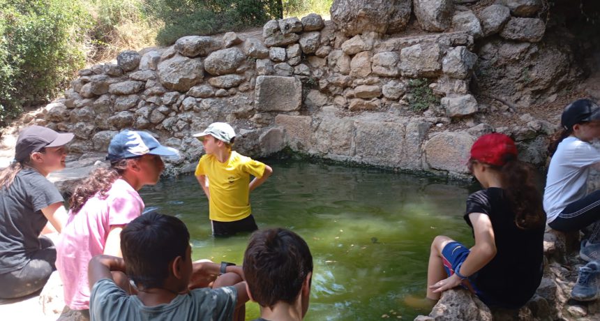 תמונה של WhatsApp‏ 2024-06-23 בשעה 11.43.14_780e5d19