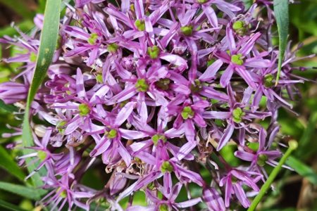 תמונה של WhatsApp‏ 2025-02-24 בשעה 17.00.46_43577d4e