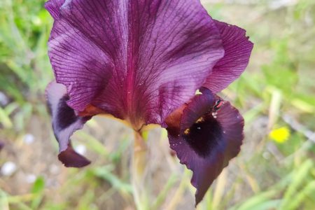 תמונה של WhatsApp‏ 2025-02-24 בשעה 17.00.46_ccf689a9