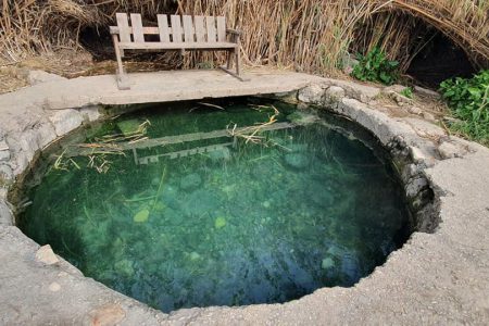 תמונה של WhatsApp‏ 2025-03-12 בשעה 12.32.08_3a46f53f